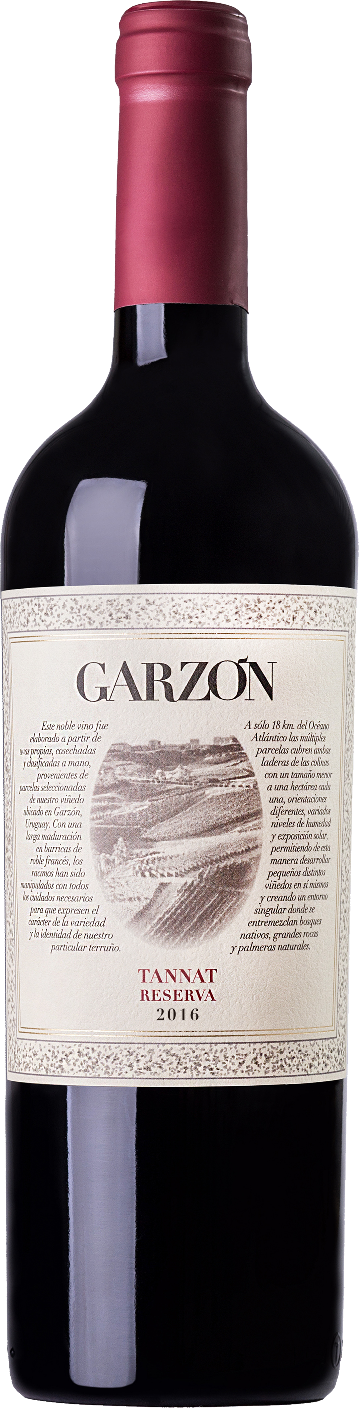 Produktbild på  Garzón Reserva Tannat 