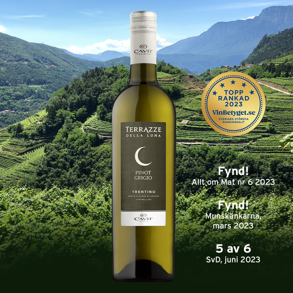 Terrazze della Luna Pinot Grigio – FS